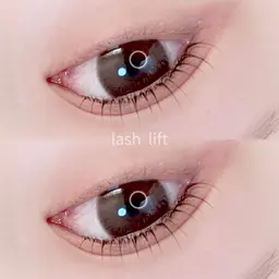 ラッシュリフト上のみ