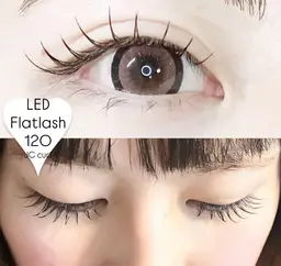 🌈新規価格!🌈💘LED⚡︎フラットラッシュ(100本)🫶🌈