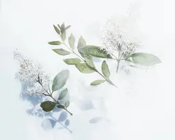 【限定】|背中肩首集中◎|骨盤ほぐし|上半身集中オイルリンパ60分