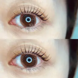 ☑︎ ラッシュリフト　下まつ毛（保証なし）