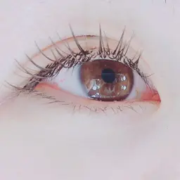 ミニモ限定!!フラットマットラッシュ120本オフあり6500円