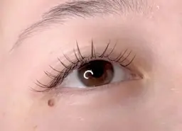 話題の新技術アンドヘルシー導入価格!!まつげパーマ×マツエク80本まで!!