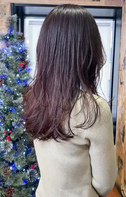 髪質改善カラーエステ『15種類』※☆14才~22才の方限定35%OFF★【学割U22】