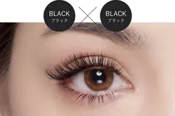 付け出し限定★LED無料➕バインドロック80束¥6480