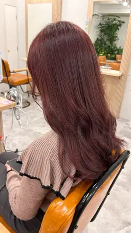 【限定クーポン】カット+ワンカラー（ブリーチ無し）お色お困りの方は一緒に決めましょう❕