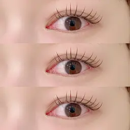 【再来様】フラットラッシュ100本