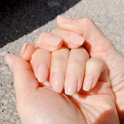 ワンカラーオフ無し