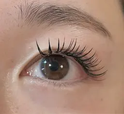 フラットラッシュ120本 オフ無し