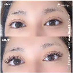 【持続力 No.1】 LEDバインドロック100束 アイシャン・オフ付き14,130→8,480円