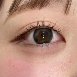 【ご新規様限定🌷】まつ毛パーマ👀✨（上のみ）