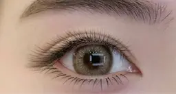 本格ワンホン⭐️海外大人気！ふんわりお花マツエク （上下160本)振り分け自由⭐️【上120本，下40本】初回オフ無料