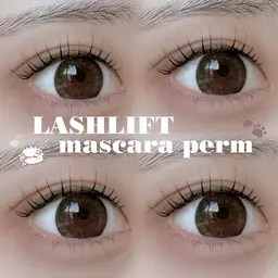 マスカラパーマ(メンズok/ミニモ学割) ⚠️ご予約前に注意事項のご確認お願いいたします