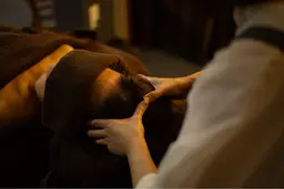 【1番人気】ボディケア＋フットケア (足つぼ)1時間45分コース