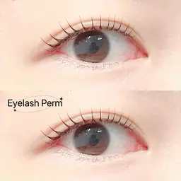 🩷【4/12当日限定】人気No.1❣️まつ毛パーマ➕コーティング🩷