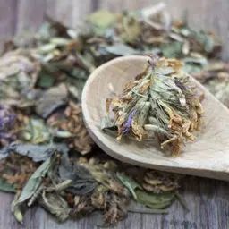 【よもぎ蒸しリピーター】オーガニックハーブ 40分