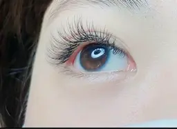 新入荷u型束マツエク　100本　5980  オフ込み