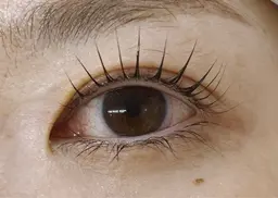 豊富な種類から選べるまつ毛パーマ!