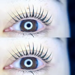 🦋先着1名限定格安価格🦋4月限定🦋上下まつげパーマ¥5000