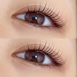 🔥《🦋当日限定🦋》ラッシュリフトorまつ毛パーマトリートメント付き(施術60分)