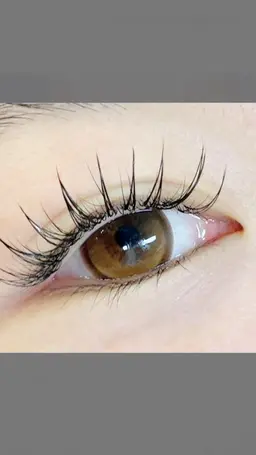 ダブルフラットorバインドロック100束お試し