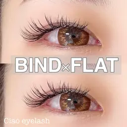 【人気No.1】MIX160(BIND40束+フラット40本)ご新規様オフ込み