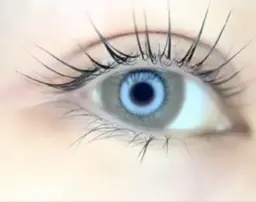 ラッシュリフト💓まつ毛パーマ平日限定