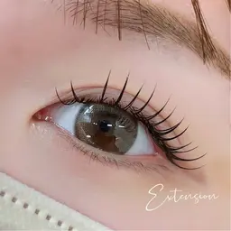 【新規】フラットラッシュ120本