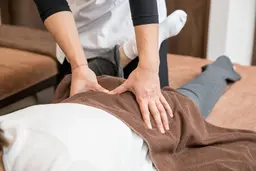 【3月限定】　慢性的な腰痛/背中の筋肉疲労/冷え/骨盤の歪みに！　全身整体+骨盤矯正　4,980円