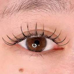 フラットラッシュ60本🎀LED変更可能(オフ込み)