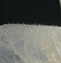 【レディース】【WAX脱毛】フェイシャルWAX