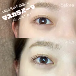 韓国発🇰🇷今話題のマスカラパーマ✨