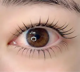 【中顔面短縮❤️‍🔥】上下ラッシュリフト《選べる🎀パリジェンヌorラッシュリフト》