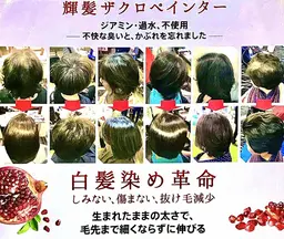 【ノンジアミン天然の白髪ぼかし】艶髪ザクロペインター