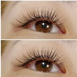 💛オフ無料フラットラッシュ💛120本4700円/140本5200円 LEDに変更+1000円で可能✨