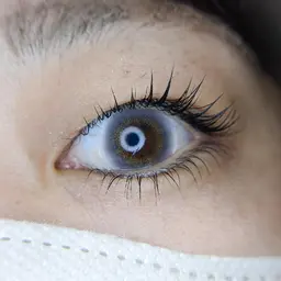 まつ毛パーマ 上下