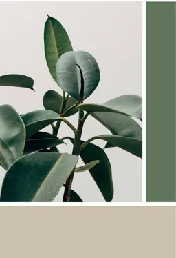 湿気対策◎カット＋フルカラー＋髪質改善tr