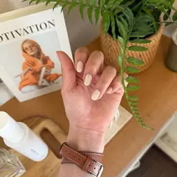 🌟オフなし🌟ワンカラー（カラーは何色でもお選びいただけます‼︎）