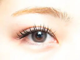 🌺フラットラッシュ🌺120本