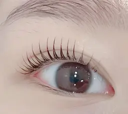 当日限定まつげパーマ上/美容液付き無料