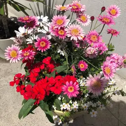 ⭐minimo限定⭐カット & 縮毛矯正 & トリートメント