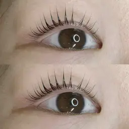 当日予約限定🪽上下パリジェンヌラッシュリフト🪽(次世代まつ毛パーマ)￥9980→￥7000コーティング付き