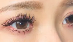 バインドロック80束¥7,700