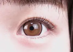 【1日3名様限定☆】🌰まつ毛パーマ🌰4400円🌰