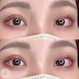 平日限定キャンペーン《選べるまつ毛パーマ&ハリウッドブロウリフト》¥10300→¥7900