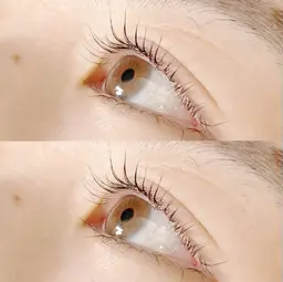 当日予約限定🤍似合わせデザインまつ毛パーマ🤍