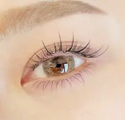 4月限定!特別価格【大人マツエク】地毛の長さに合わせて両目50本