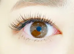 〔オフ無〕フラットマットラッシュ　90分つけ放題🌷ブラウンカラー¥7500