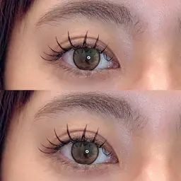 フラットラッシュ120本