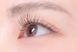 【🤍3月限定🤍】まつ毛エクステ フラットラッシュ100本👀