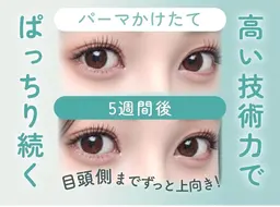 （まつげパーマ）ラッシュリフト上